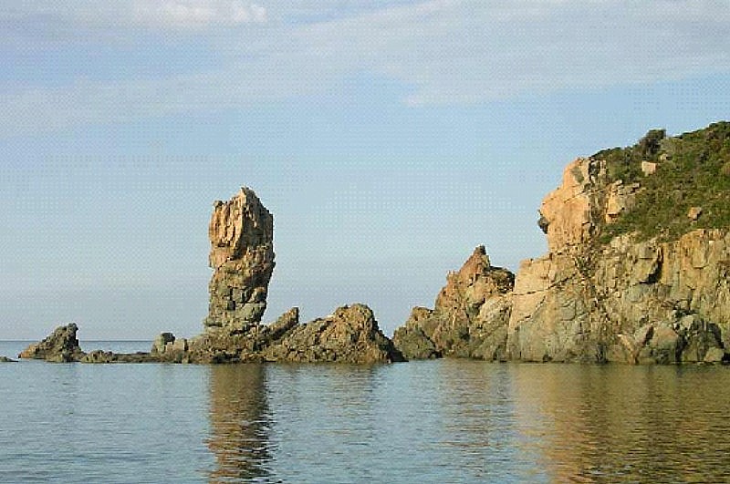 noix de coco 05