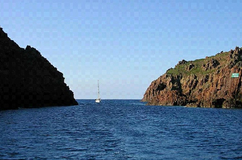 noix de coco 09