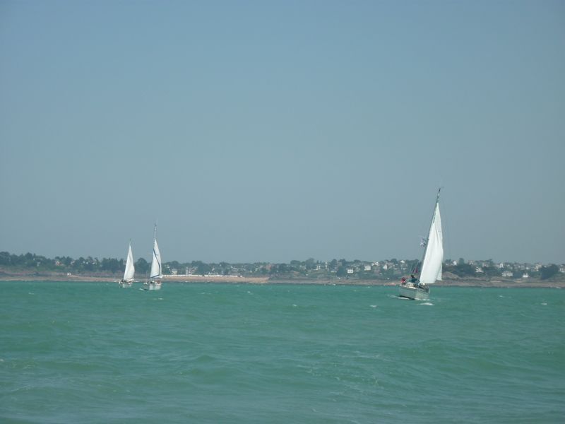 2011 ST CAST - LES EBIHENS EN JUIN