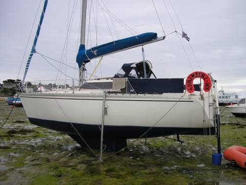 Phoca thumb l C56FD83678AD