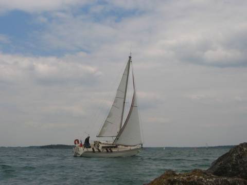 Phoca thumb l A787B794179A 214