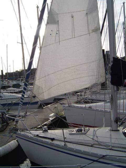 Phoca thumb l 208878819E98 300