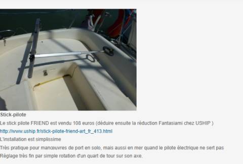 Stick pilote