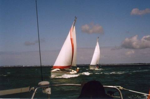 Phoca thumb l 46A2305DD42C 89