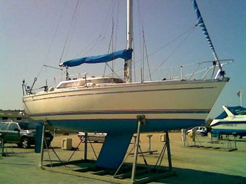 Phoca thumb l BFC0B4459DE3 69